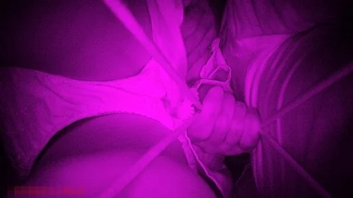 電車内で■■撮影動画98(衝撃のパンティーずりおろし生尻喰い編)