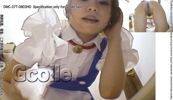 ☆便器内をのぞくコスプレ■■-37T-0803-WMV