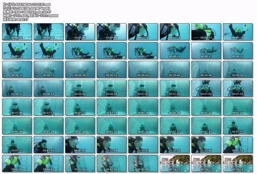 水中動画 43 音声無し
