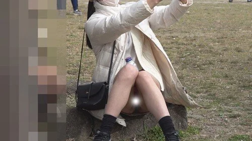 公園パンチラ2 サッカー観戦に来てたミニスカ女子