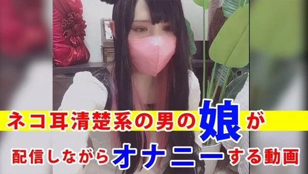 【個撮】ネコ耳清楚系の男の娘が配信しながらオナニーする動画