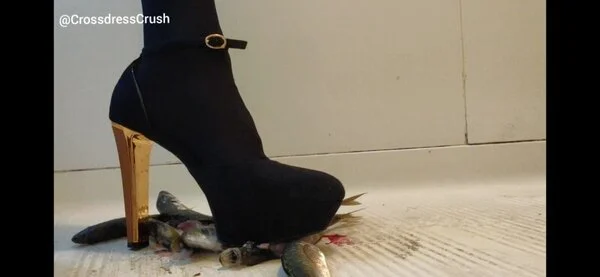 女装オナニーしながらハイヒールで魚を踏み潰して射精する クラッシュフェチ