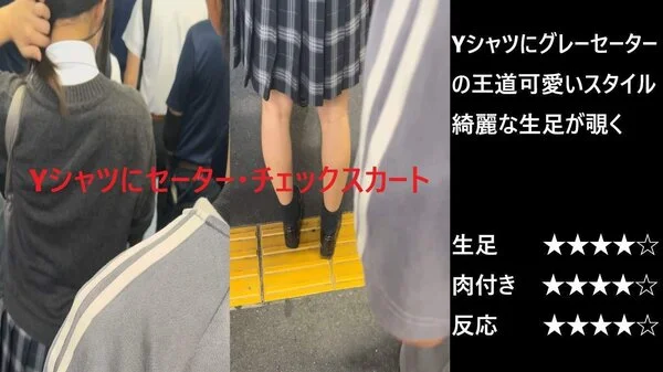 『シン・お触り紳士の日課』第百四話