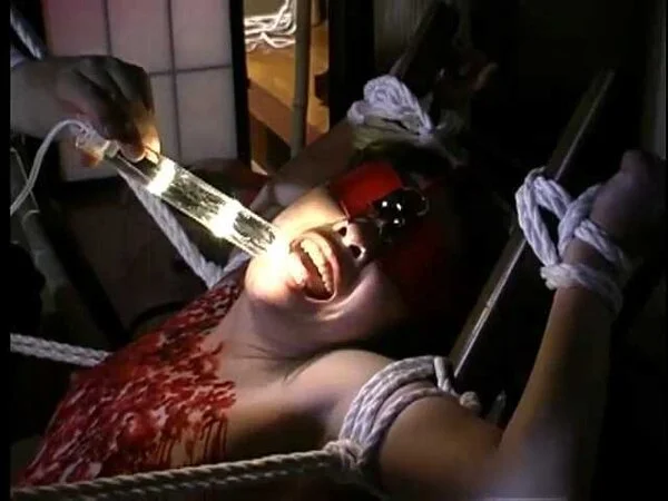 【記録映像】女体実験 人妻電流○禁 Part 2