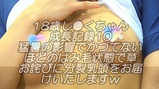 18歳し●くちゃん成長記録10猛暑の影響で衣装からのはみ毛がお見苦しくて申し訳ご