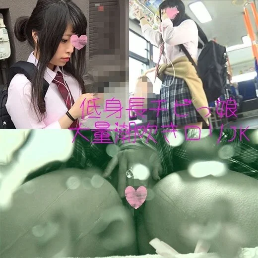 【路線バスさわさわ動画6】カメラ水没!!韓流好き??チビっ娘パイパン巨乳激カワ制