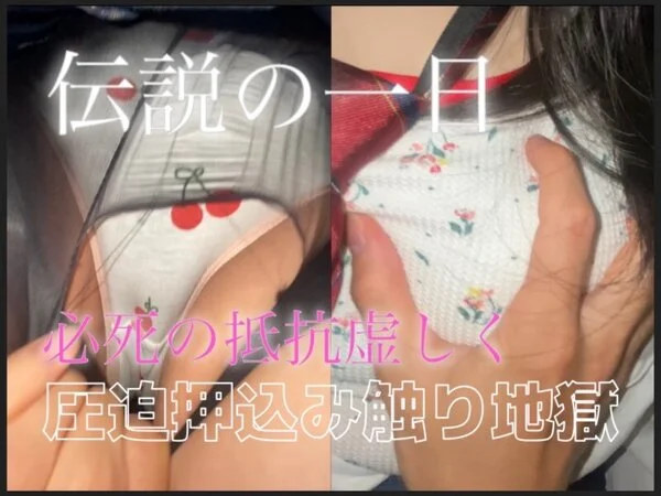 【痴地獄】伝説の一日、必死の抵抗虚しく圧迫押込み触り地獄、声入ってます