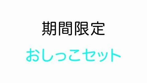 【期間限定】■■■■セット