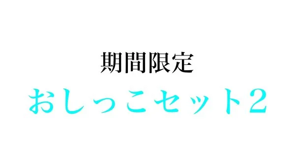 【期間限定】■■■■セット 2