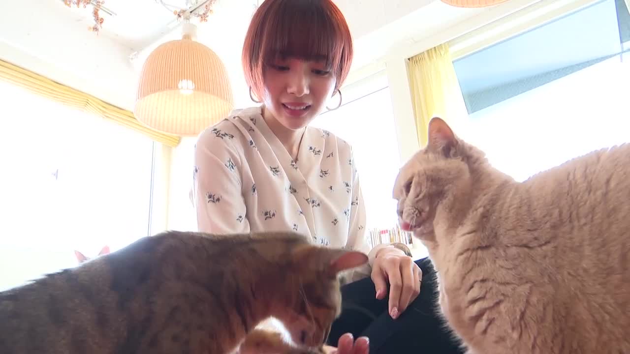 Secret trip/岡田紗佳 サンプル画像 3