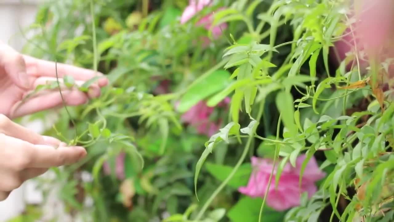 私のこと&amp;hellip;おヘンタイだと思いますか&amp;hellip;？/竹田里佳 サンプル画像 2
