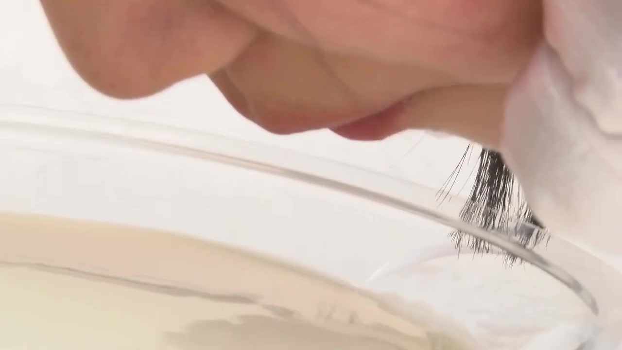 やんちゃなクラスメイト/高根未稀Part2 サンプル画像 8