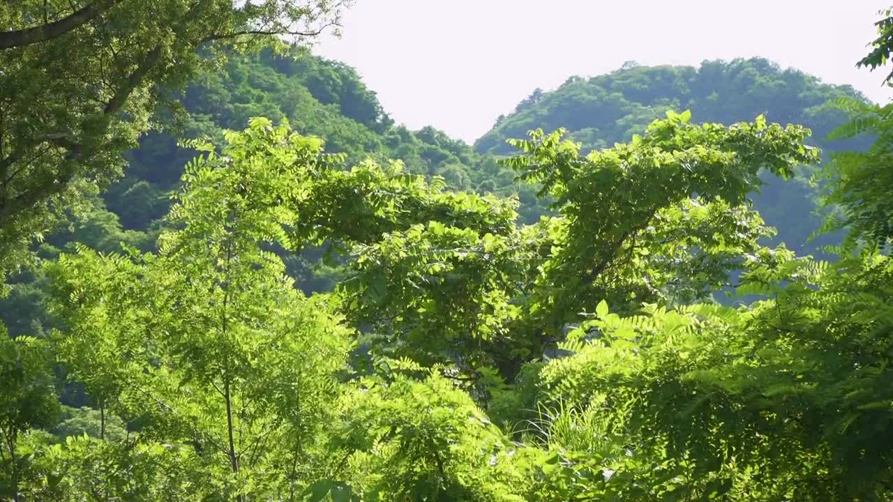 風愛ことり  合宿デート サンプル画像 3