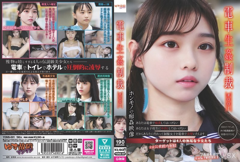 [モザイク破壊]YDNS-001 電車生姦制裁 ＃001