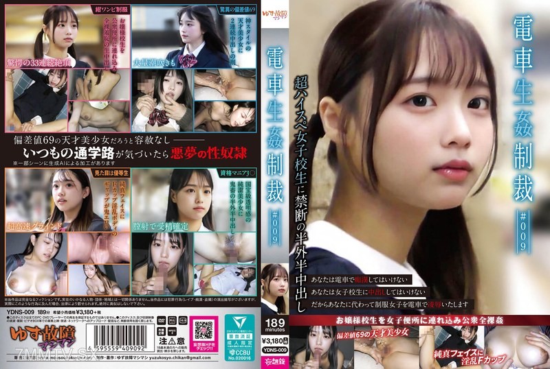 [モザイク破壊]YDNS-009 電車生姦制裁 ＃009