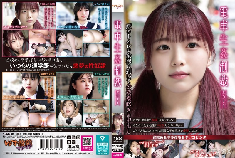YDNS-011 電車生姦制裁 ＃011