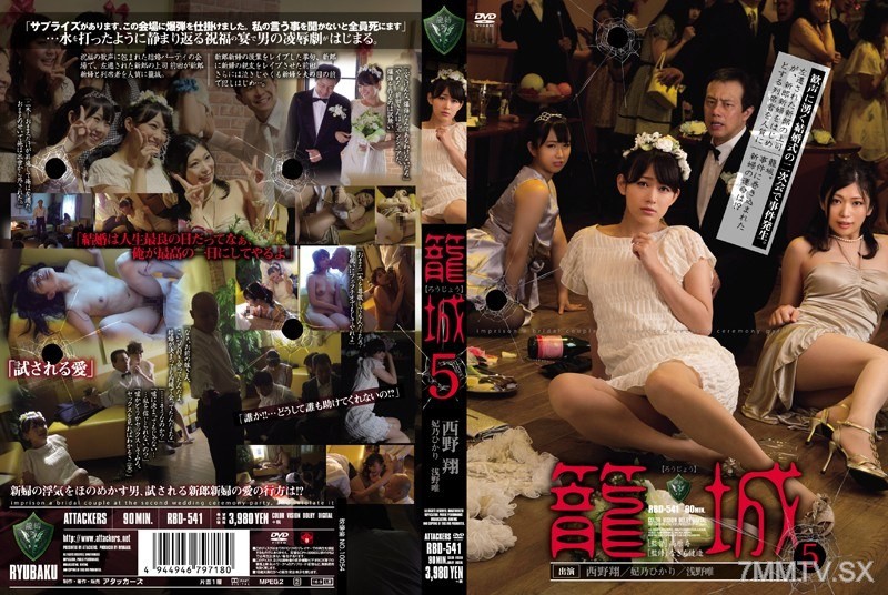 [モザイク破壊]RBD-541 籠城5 西野翔 妃乃ひかり 浅野唯