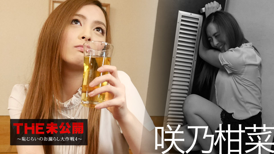 THE 未公開 〜恥じらいのお漏らし大作戦4〜