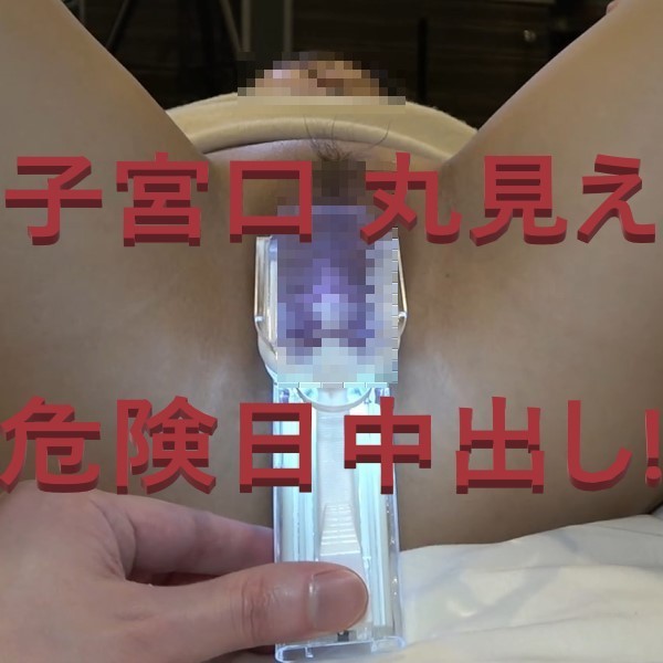 fc2-ppv 3399017 【ガチ子作り!!】スレンダーくびれ美女をボテ腹にするぞ！前回の口約束を果たすために妊活撮影をガチ決行！危険日調べて排卵中おマンコに遠慮なく大量射精！ {
